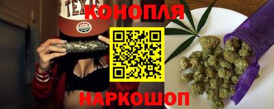 сатива Бузулук